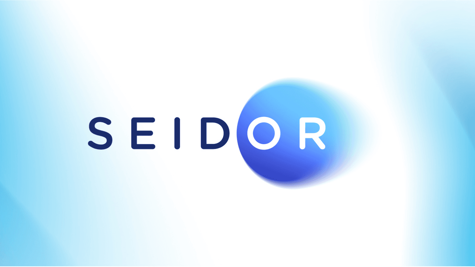 seidor.1