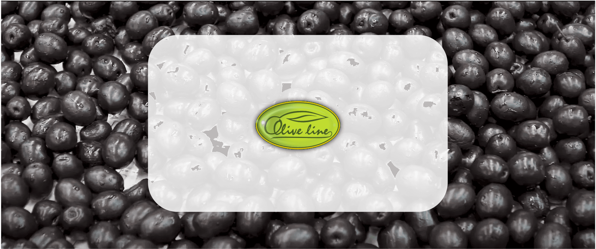 Olive Line 