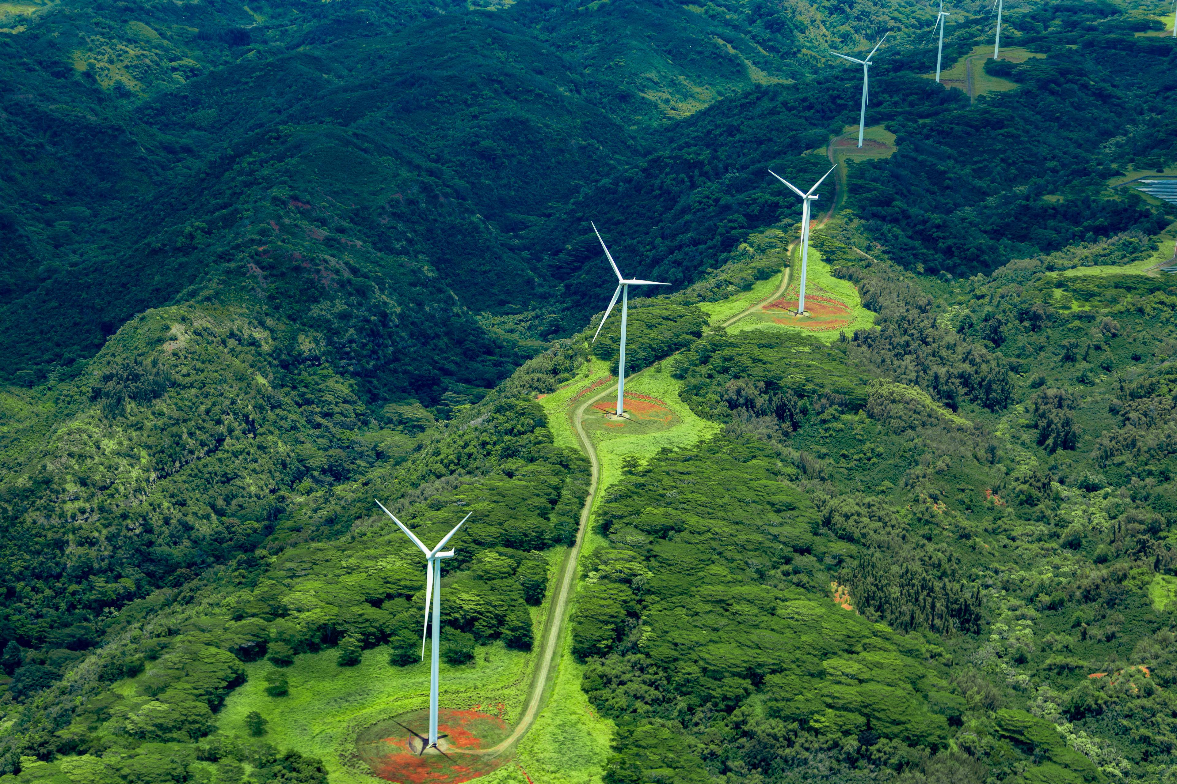 molinos de viento